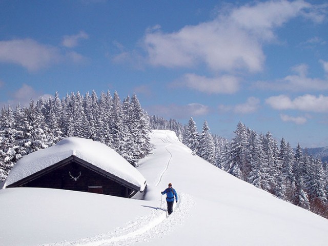 Ferienwohnung Biechl Hauser